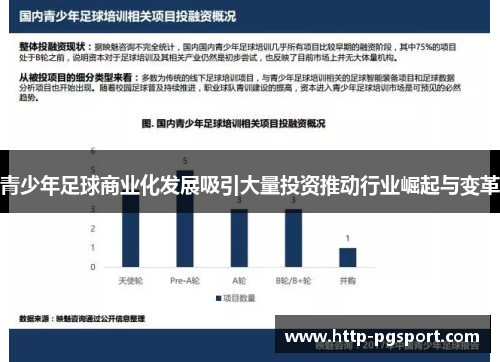 青少年足球商业化发展吸引大量投资推动行业崛起与变革